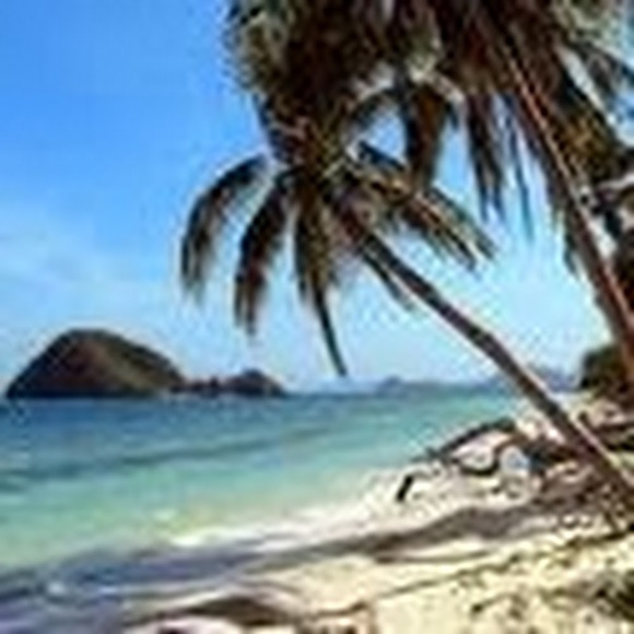 Meet your Posher, Bridget - Picture 1 of 1